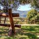 Benestar i equilibri tardor