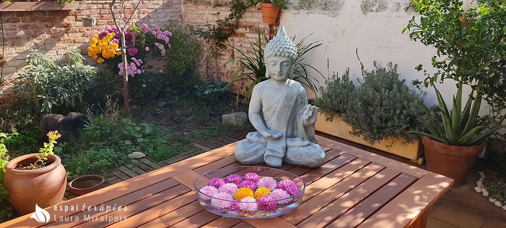 Espai Teràpies Laura Miralpeix Cinco Principios Reiki_buda